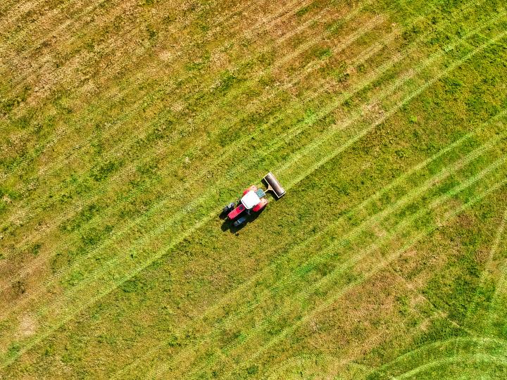 Bild zu Sächsisches Hausarztstipendium – Deine Chance auf Förderung mit Perspektive