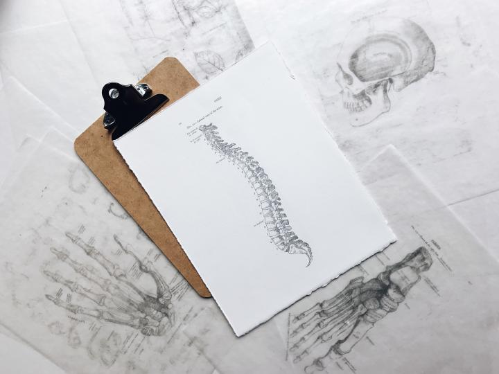 Bild zu Die schier unendliche Welt der Anatomie. Diese Atlanten können Dir helfen