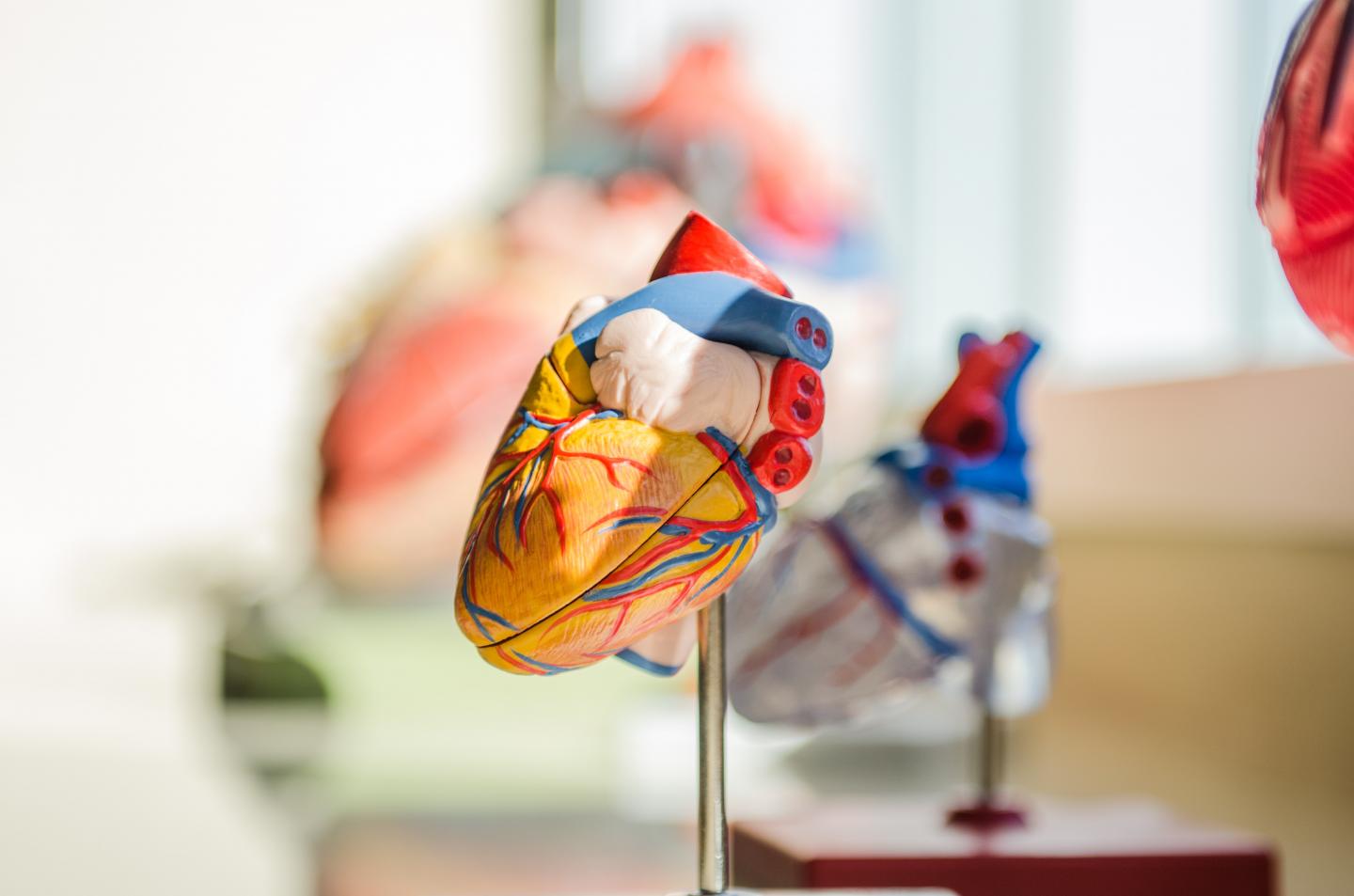 Medizin in Deutschland studieren