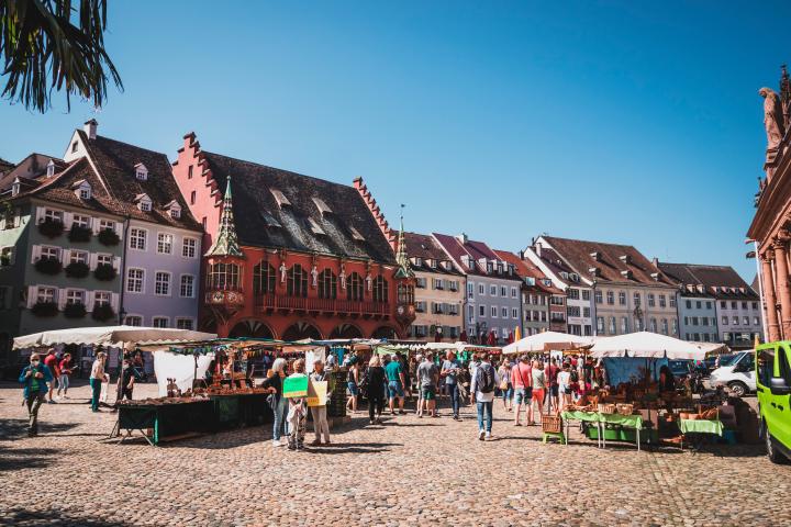 Medizin in Freiburg studieren