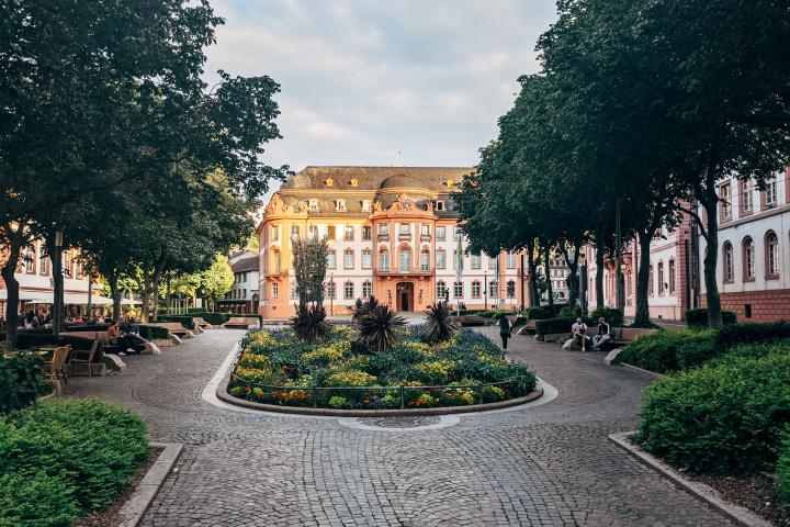 Medizin in Mainz studieren