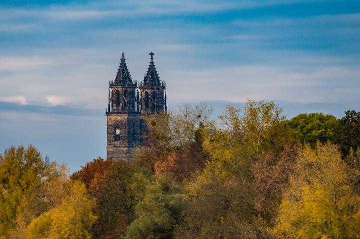 Bild zu Haselhoff will mehr Plätze in Sachsen-Anhalt vergeben