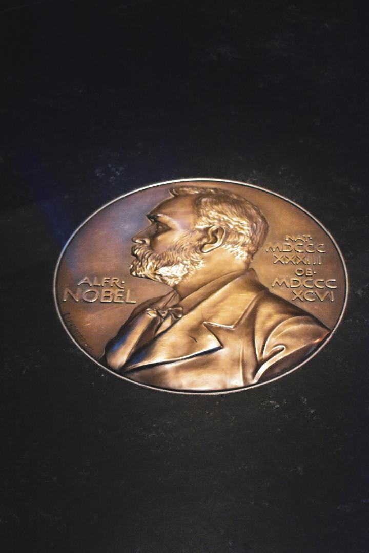 Bild zu Der Nobelpreis für Medizin 2025